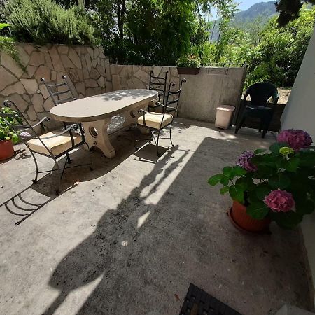 Studio Jeff 1 Apartment Kotor Bagian luar foto