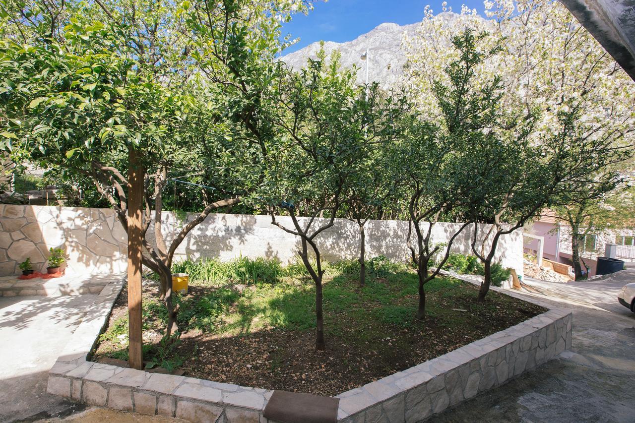 Studio Jeff 1 Apartment Kotor Bagian luar foto