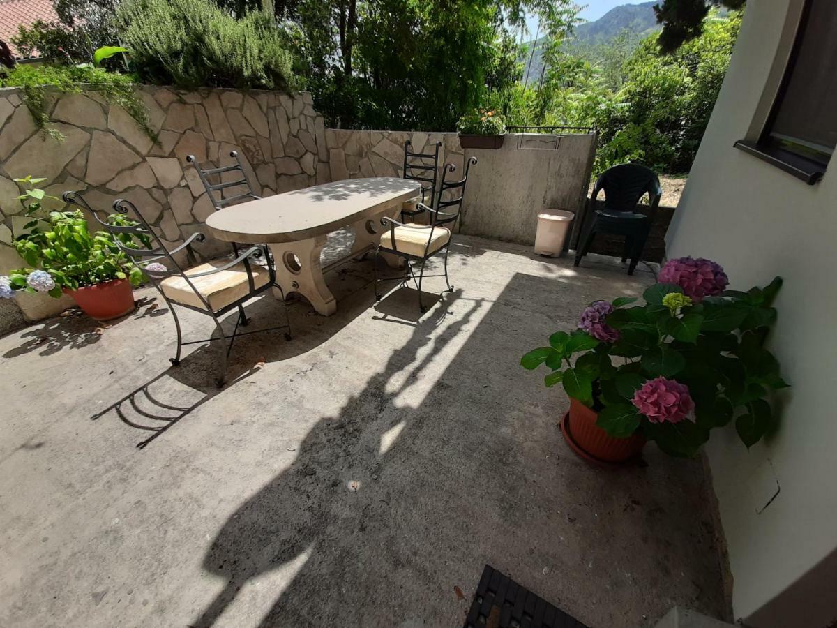 Studio Jeff 1 Apartment Kotor Bagian luar foto